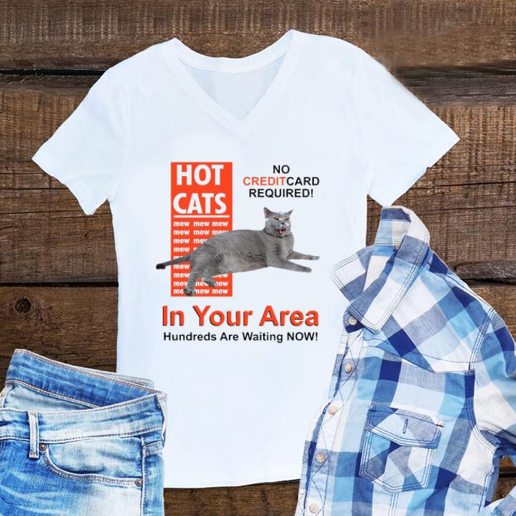 Awesome Hot Cats In Your Area sweater