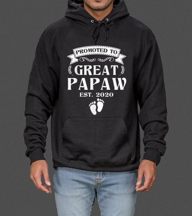 Official Promoted To Great Papaw Christmas Fathers Day Gift sweater