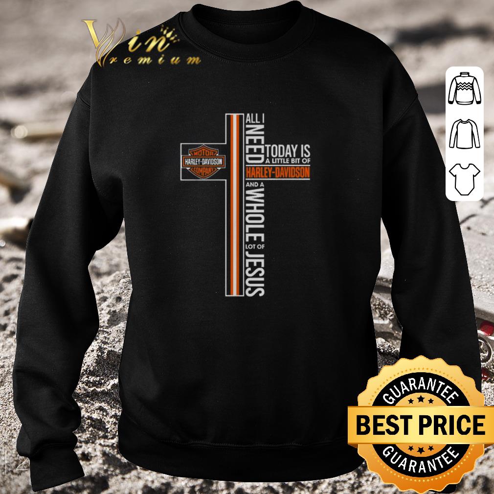 Pretty All need today is a little bit of Harley-Davidson logo Jesus shirt