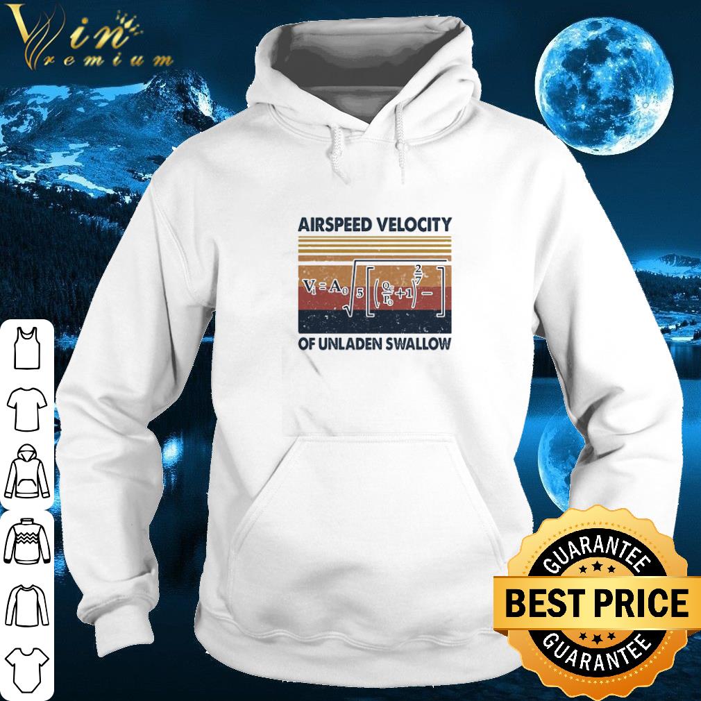Nice Vintage Airspeed Velocity Of Unladen Swallow shirt