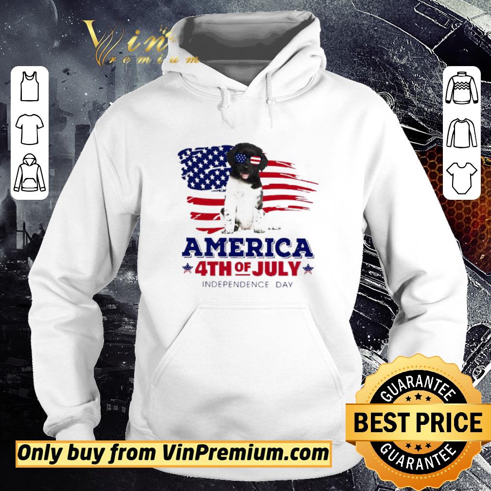 Top Stabyhoun America 4th Of July Independence Day shirt