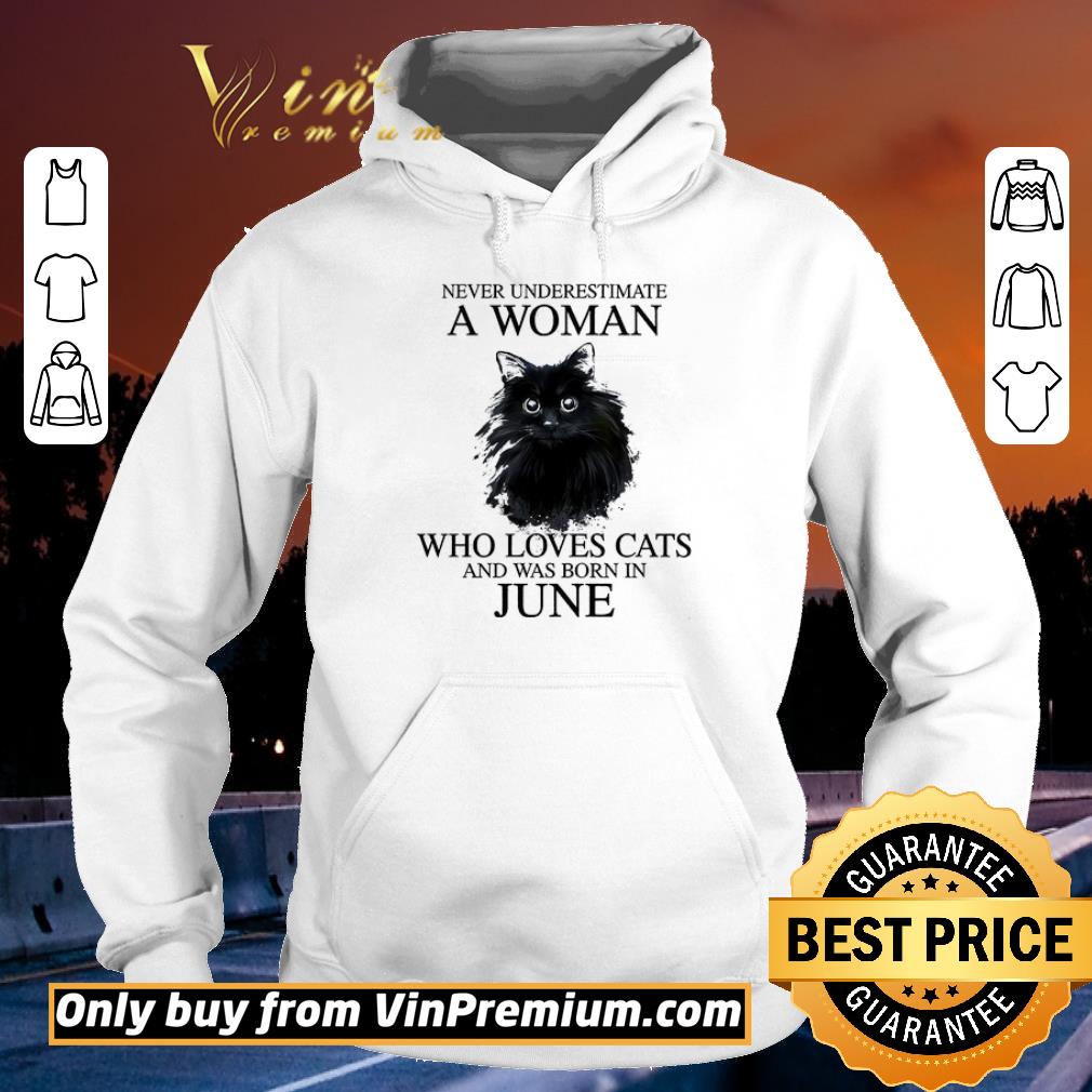 Pretty Never Underestimate A Woman Who Loves Cats And Born In June shirt 6 Pretty Never Underestimate A Woman Who Loves Cats And Born In June shirt