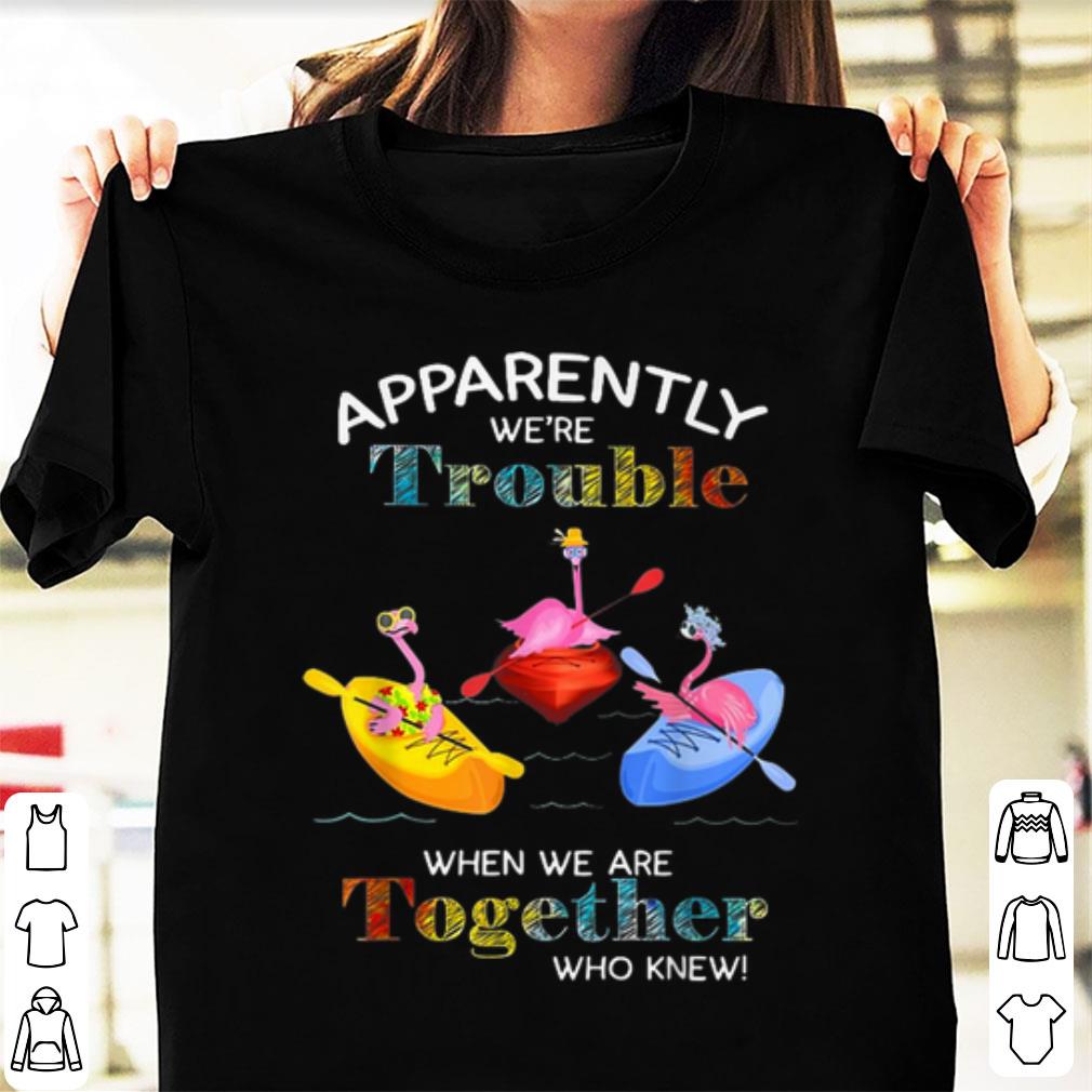 Awesome Apparently We re Trouble When We Are Together Who Knew Paddle Canoe Boat Flamingos shirt 1 - Awesome Apparently We're Trouble When We Are Together Who Knew Paddle Canoe Boat Flamingos shirt