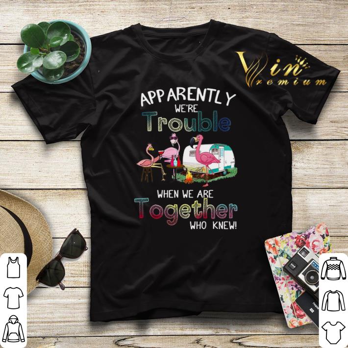 Flamingos apparently we re trouble when we are together who knew shirt sweater 4 - Flamingos apparently we're trouble when we are together who knew shirt sweater