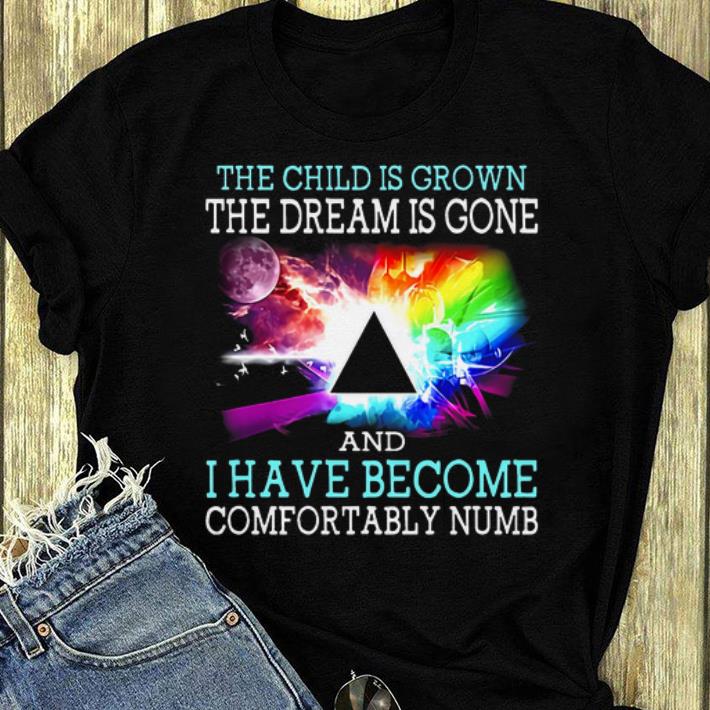 Hot The Child Is Grown The Dream Is Gone And I Have Become Comfortably Numb Pink Floyd shirt 4 - Hot The Child Is Grown The Dream Is Gone And I Have Become Comfortably Numb Pink Floyd shirt