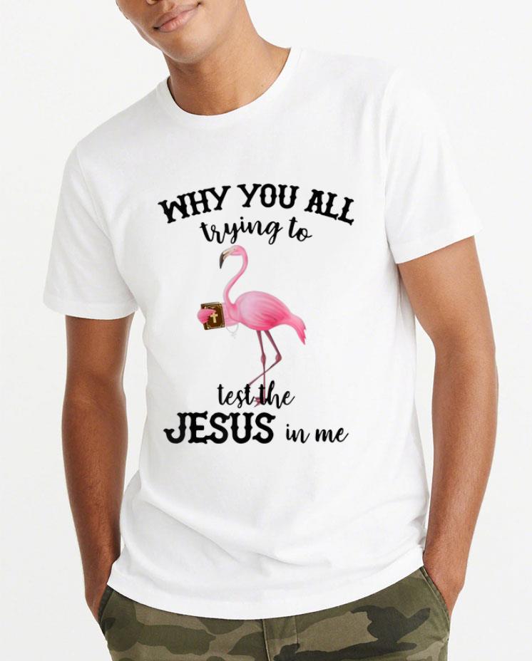 Hot Why You All Trying To Test The Jesus In Me Flamingo shirt 4 1 - Hot Why You All Trying To Test The Jesus In Me Flamingo shirt
