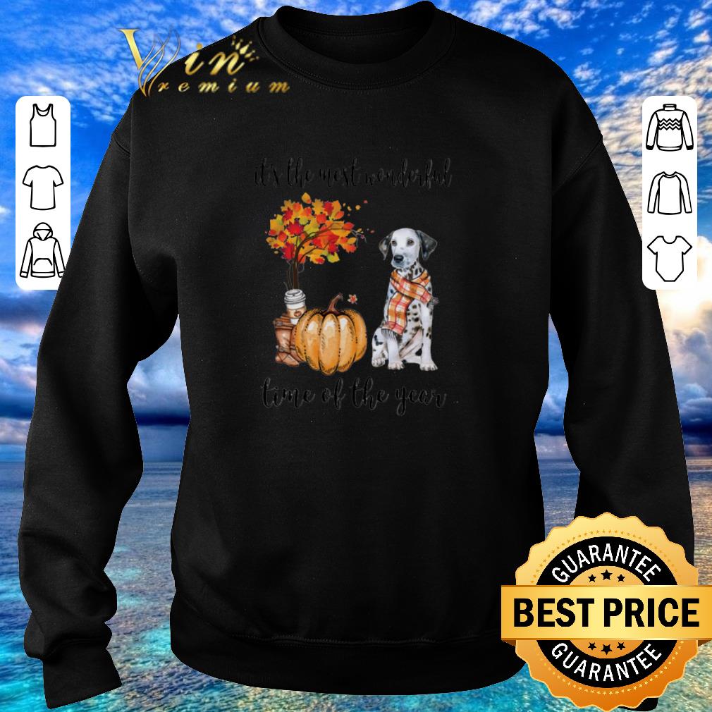 Awesome Dalmatian Pumpkin it s the most wonderful time of the year shirt sweater 2020 4 - Awesome Dalmatian & Pumpkin it's the most wonderful time of the year shirt sweater 2020