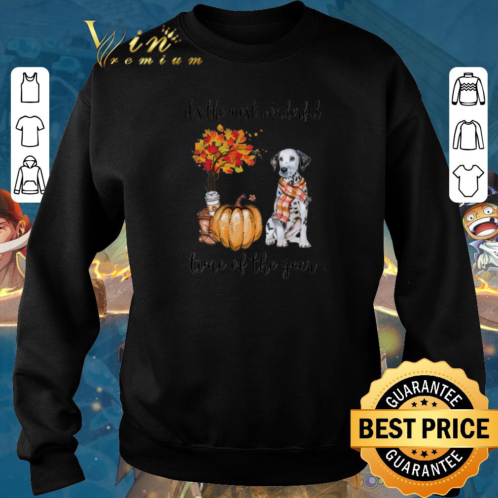 Funny Dalmatian Pumpkin it s the most wonderful time of the year shirt sweater 4 - Funny Dalmatian & Pumpkin it's the most wonderful time of the year shirt sweater