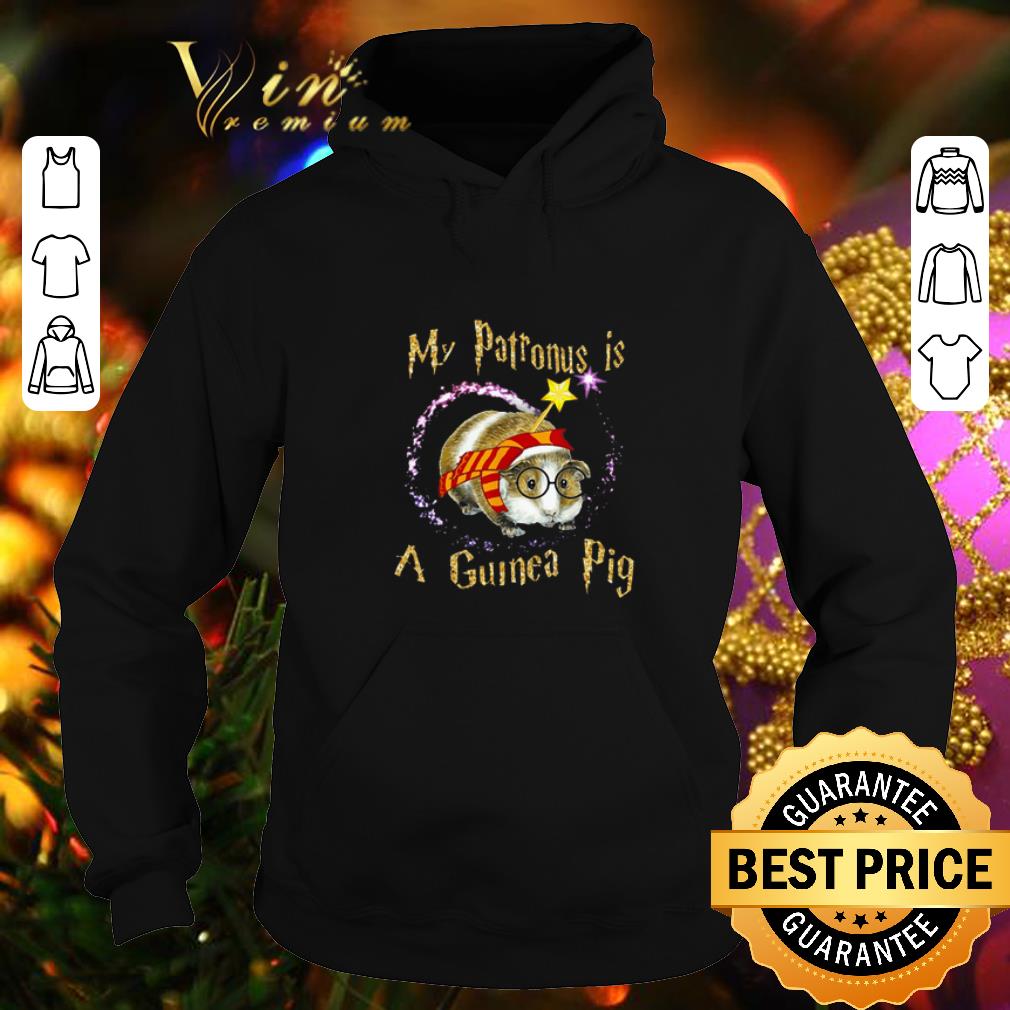 Hot My patronus is a guinea pig spell magic shirt 4 - Hot My patronus is a guinea pig spell magic shirt