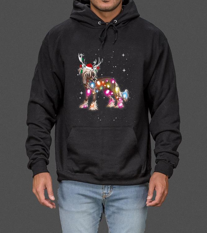 Nice Christmas Lights Chinese Crested Dog sweater 4 - Nice Christmas Lights Chinese Crested Dog sweater