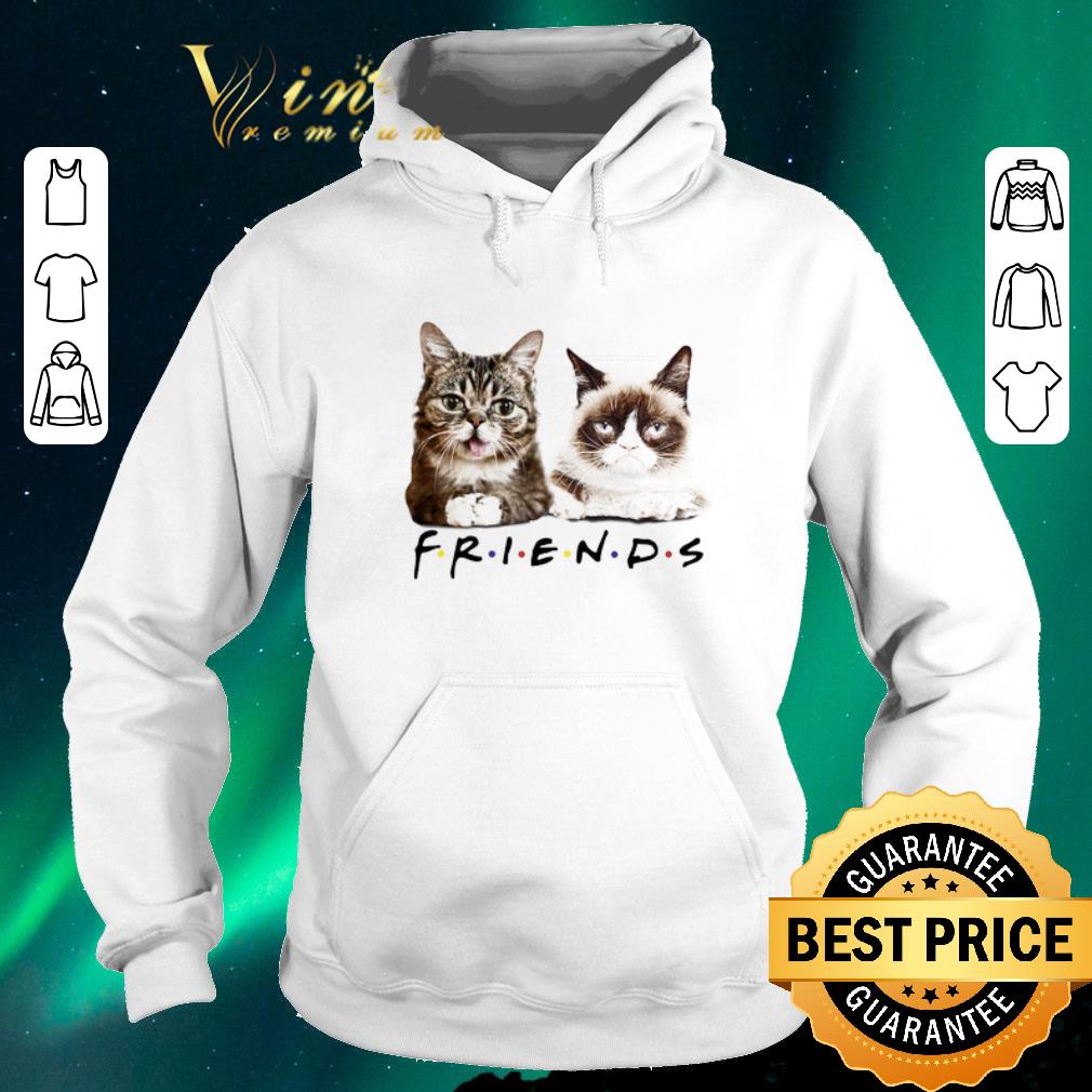 Official Lil Bub Friends Cats Grumpy shirt sweater 4 - Official Lil Bub Friends Cats Grumpy shirt sweater