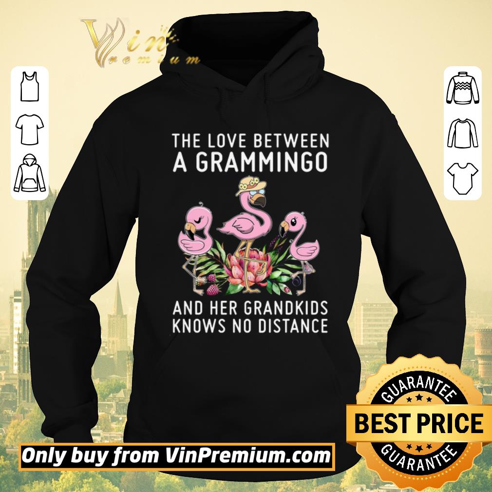 7f792eeb premium flamingo the love between a grammingo and her grandkids knows no distance shirt sweater 4 - Premium Flamingo The Love Between A Grammingo And Her Grandkids Knows No Distance shirt sweater
