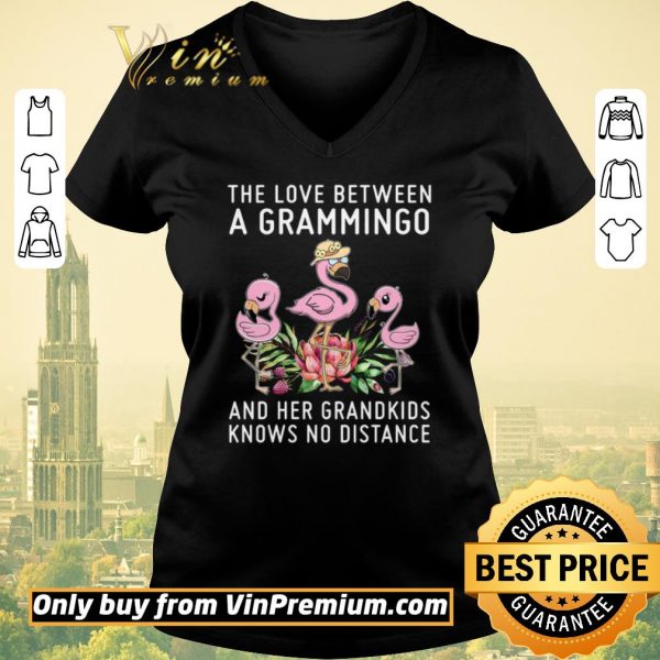 Premium Flamingo The Love Between A Grammingo And Her Grandkids Knows No Distance shirt sweater