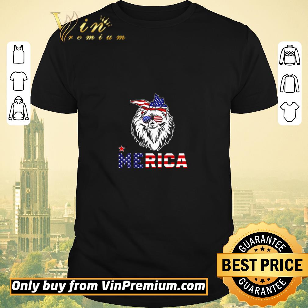 Hot Pomeranian Merica 4th of July shirt sweater