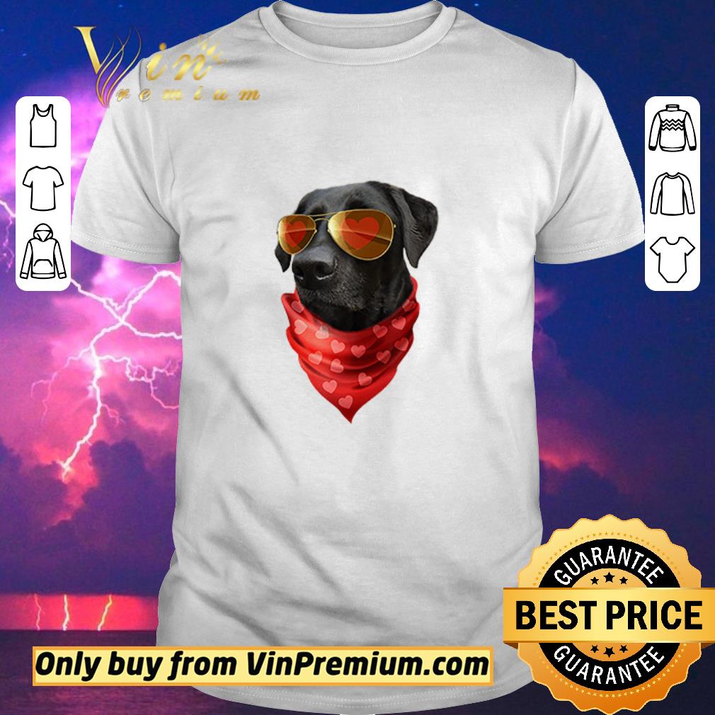 Funny Labrador Valentines Day Heart Valentine shirt sweater