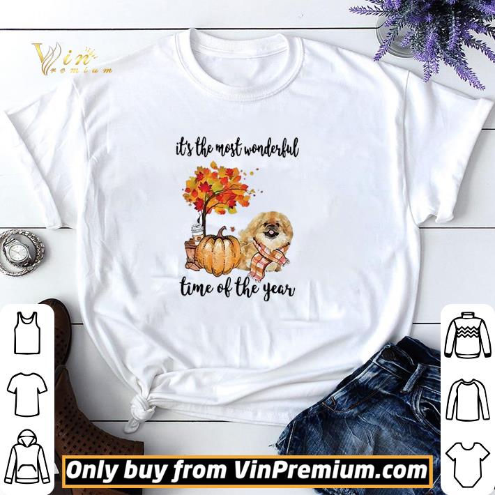 Fall Pumpkin It’s The Most Wonderful Time Of The Year Pekingese shirt sweater