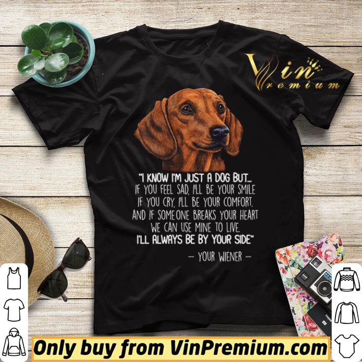 7a8d7c31 funny dachshund i know i m just a dog but if you feel sad i ll be your smile shirt sweater 4 - Funny Dachshund I know I’m just a dog but if you feel sad I’ll be your smile shirt sweater