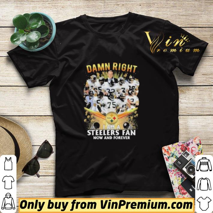 95e99e65 damn right i am a pittsburgh steelers fan now and forever shirt sweater 4 - Damn Right I Am A Pittsburgh Steelers Fan Now And Forever shirt sweater
