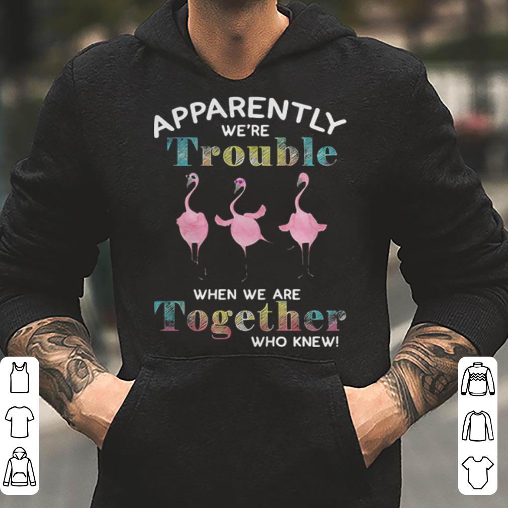 Flamingo apparently we re trouble when we are together who knew shirt 4 - Flamingo apparently we’re trouble when we are together who knew shirt