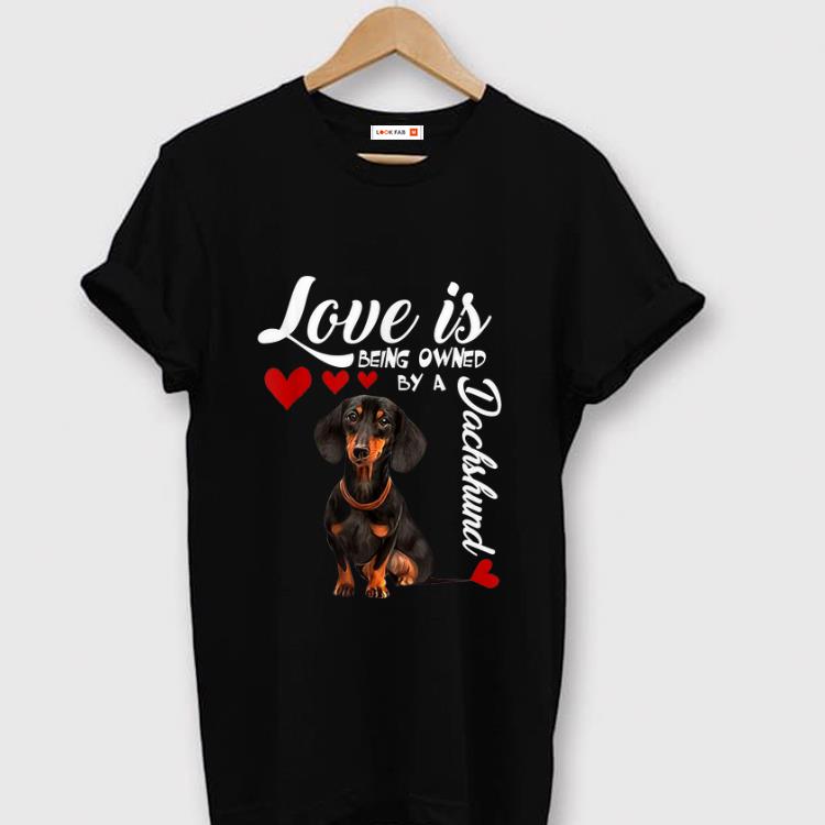 Nice Love Is Being Owned By A Dachshund shirt 1 - Nice Love Is Being Owned By A Dachshund shirt