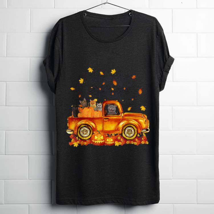 Funny Autumn Cat Kitten Pumpkin Falling Leaf Car shirt 1 - Funny Autumn Cat Kitten Pumpkin Falling Leaf Car shirt