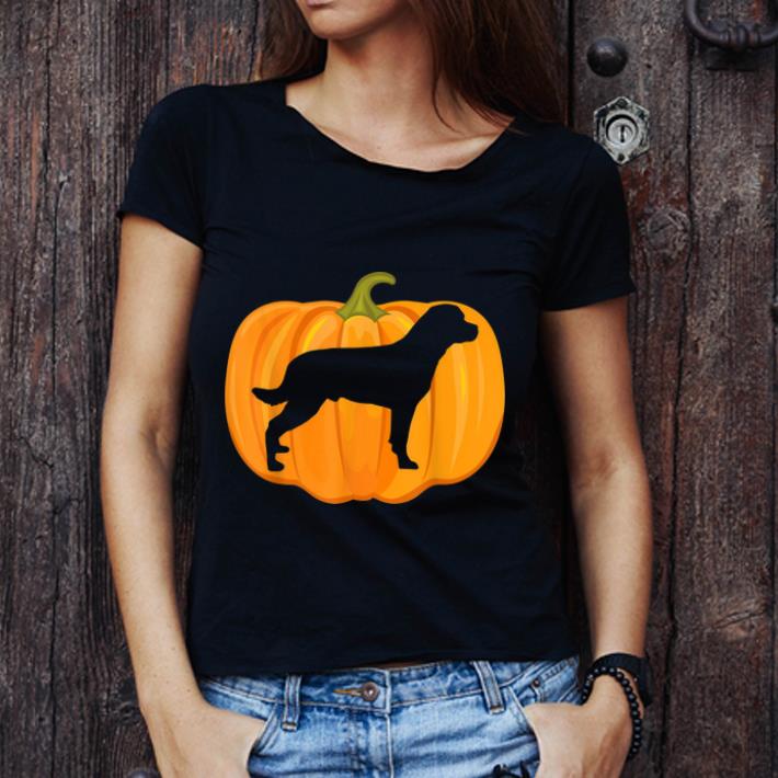 Hot Halloween Rottweiler Pumpkin Women Men Dog Owners shirt 1 - Hot Halloween Rottweiler Pumpkin Women Men Dog Owners shirt