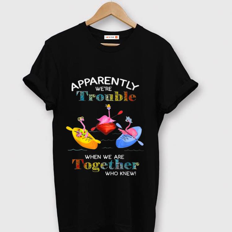 Nice Apparently We re Trouble When We Are Together Who Knew Paddle Canoe Boat Flamingos shirt 1 - Nice Apparently We're Trouble When We Are Together Who Knew Paddle Canoe Boat Flamingos shirt