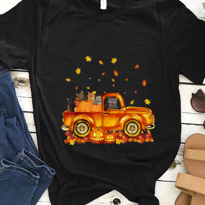 Nice Autumn Cat Kitten Pumpkin Falling Leaf Car shirt 1 - Nice Autumn Cat Kitten Pumpkin Falling Leaf Car shirt