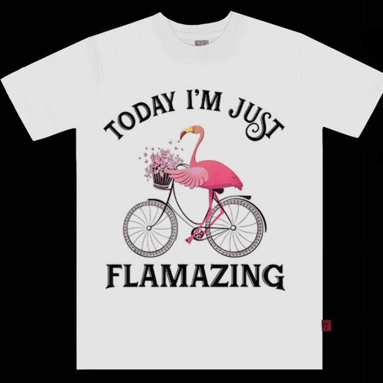 Pretty Today I m Just Flamazing Flamingo Bicycle shirt 1 - Pretty Today I'm Just Flamazing Flamingo Bicycle shirt