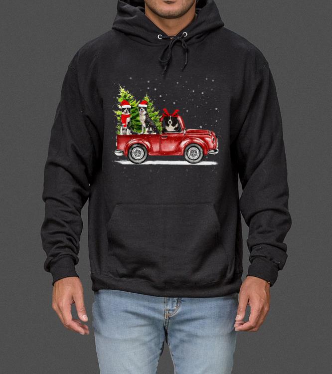 Christmas Three Border Collie Ride Red Truck Xmas Santa Hat sweater 4 - Christmas Three Border Collie Ride Red Truck Xmas Santa Hat sweater