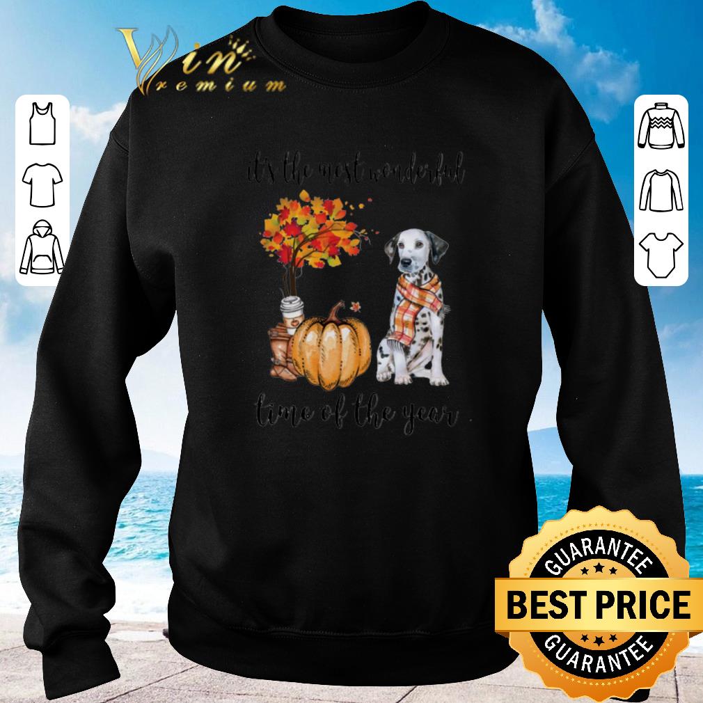 Funny Dalmatian Pumpkin it s the most wonderful time of the year shirt sweater 2020 4 - Funny Dalmatian & Pumpkin it's the most wonderful time of the year shirt sweater 2020