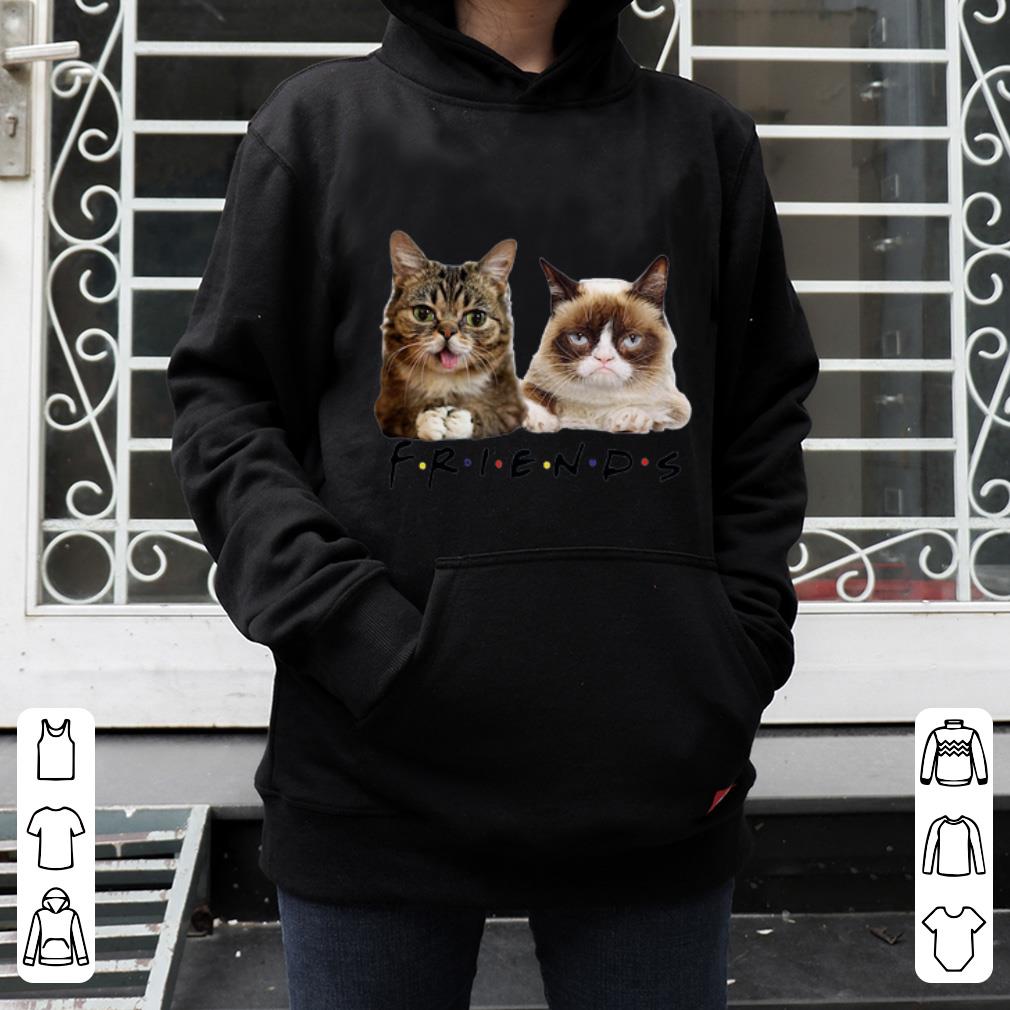 Nice Grumpy and Lil Bub cats Friends TV Show shirt 4 - Nice Grumpy and Lil Bub cats Friends TV Show shirt
