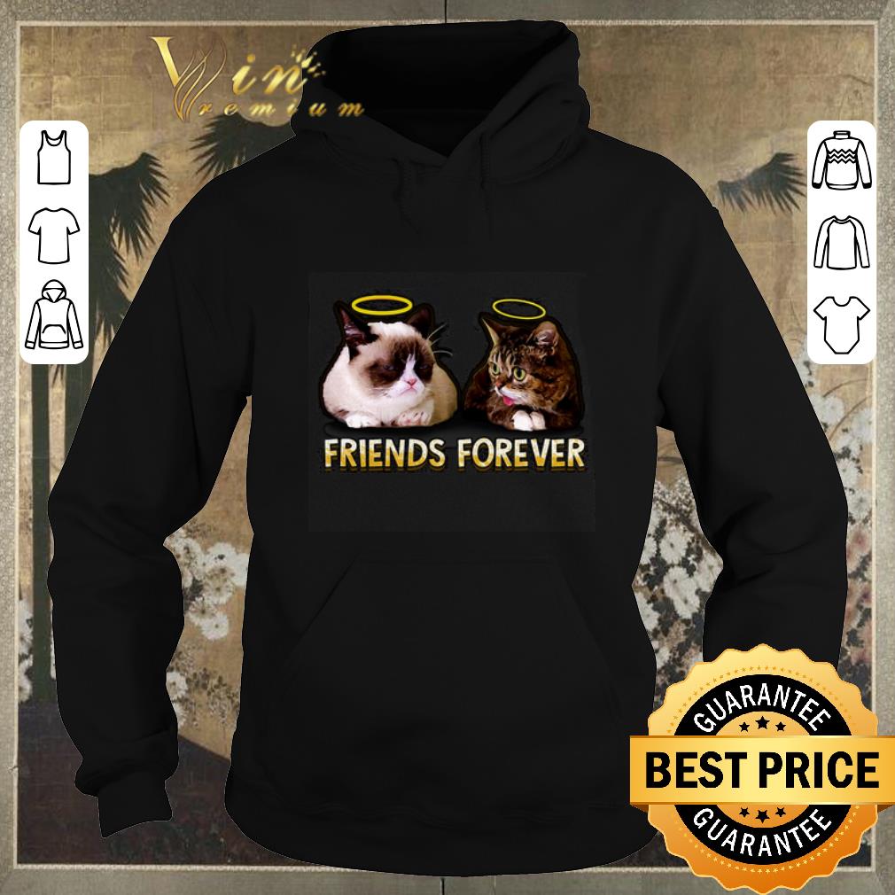 Official Grumpy and Lil Bub friends forever shirt sweater Official Grumpy and Lil Bub friends forever shirt sweater 4 - Official Grumpy and Lil Bub friends forever shirt sweater