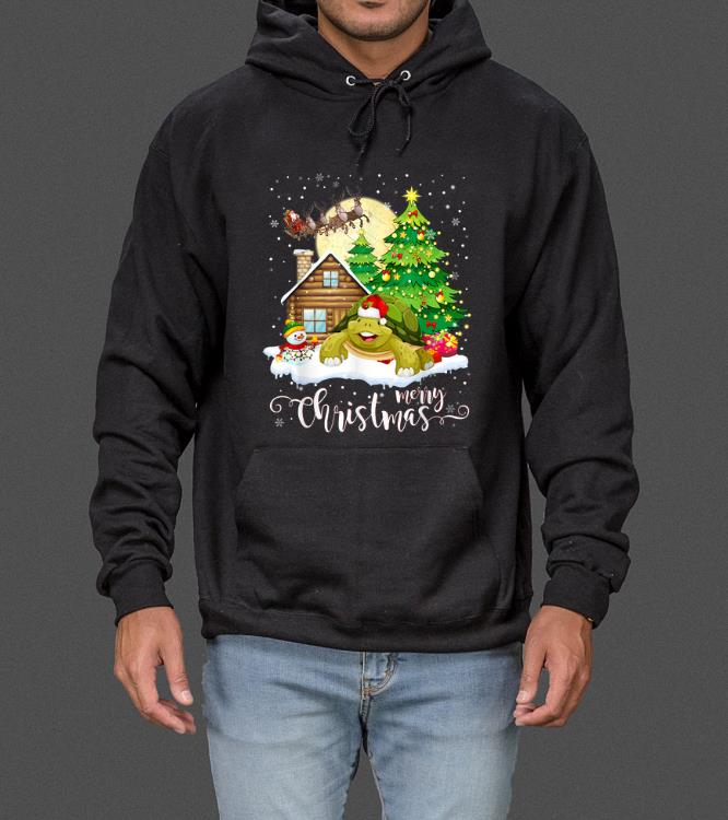 Premium Funny Cute Tortoise Lover Merry Christmas 2019 Gift sweater 4 - Premium Funny Cute Tortoise Lover Merry Christmas 2019 Gift sweater