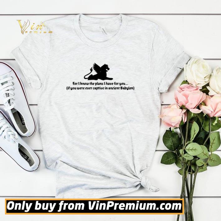 8a1faa29 for i know the plans i have for you if you were ever captive shirt sweater 4 - For I know the plans I have for you if you were ever captive shirt sweater