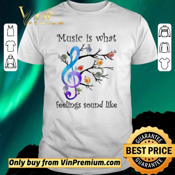 Official The Bird Music Is What Feelings Sound Like shirt sweater