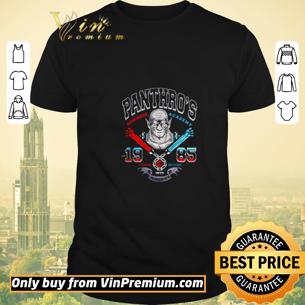 Original Panthro’s nunchuck academy 1985 turning kittens into Thundercats shirt sweater