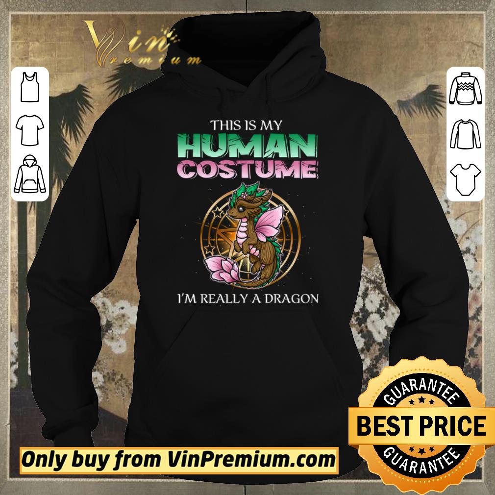 c67d7436 awesome pretty nice this is my human costume i m really a dragon shirt sweater 4 - Awesome Pretty Nice This Is My Human Costume I'm Really A Dragon shirt sweater