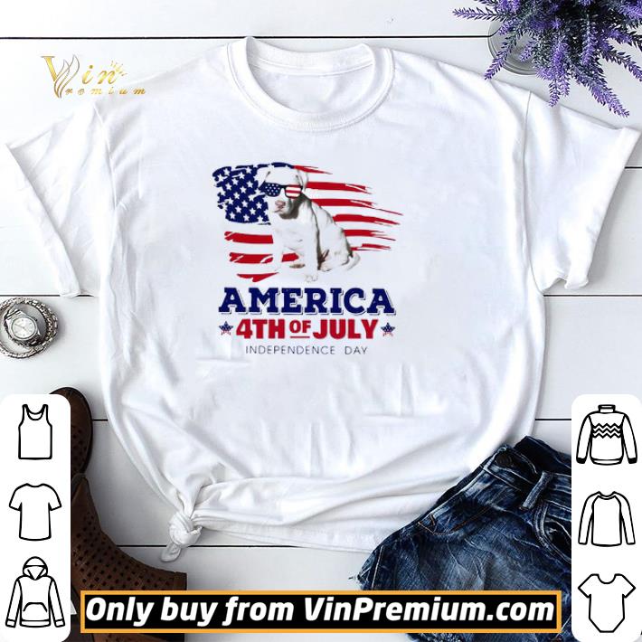 Staffordshire Bull Terrier America 4th Of July Independence Day shirt sweater
