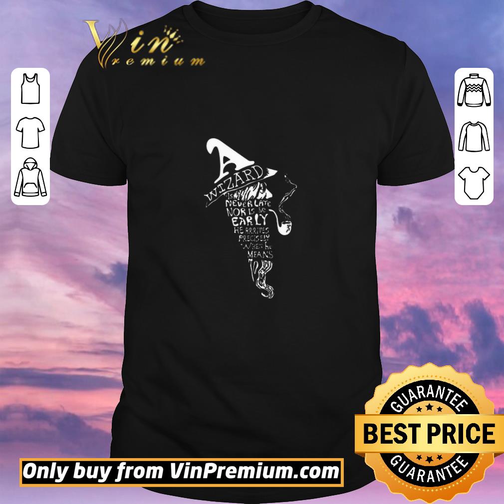 Nice Wizard Is Never Late Nor Is He Early He Arrives Precisely When He Means shirt sweater