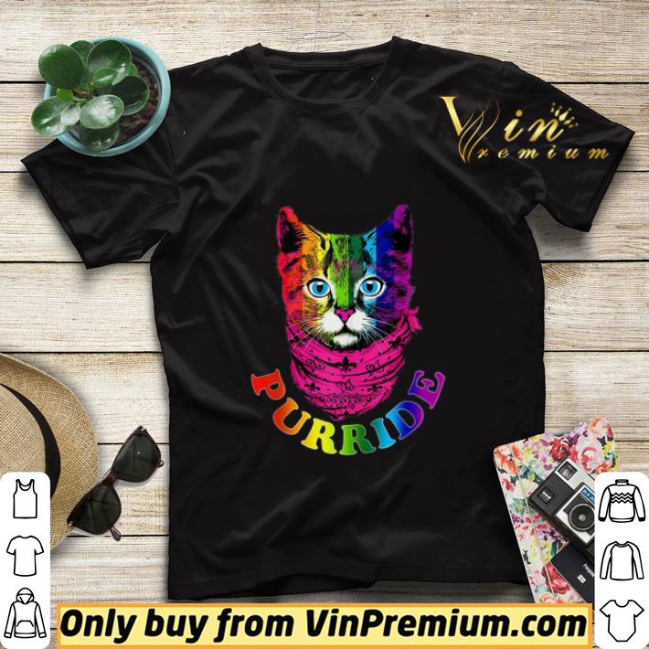 LGBT cat Purride shirt sweater 75716c4b lgbt cat purride shirt sweater 4 - LGBT cat Purride shirt sweater