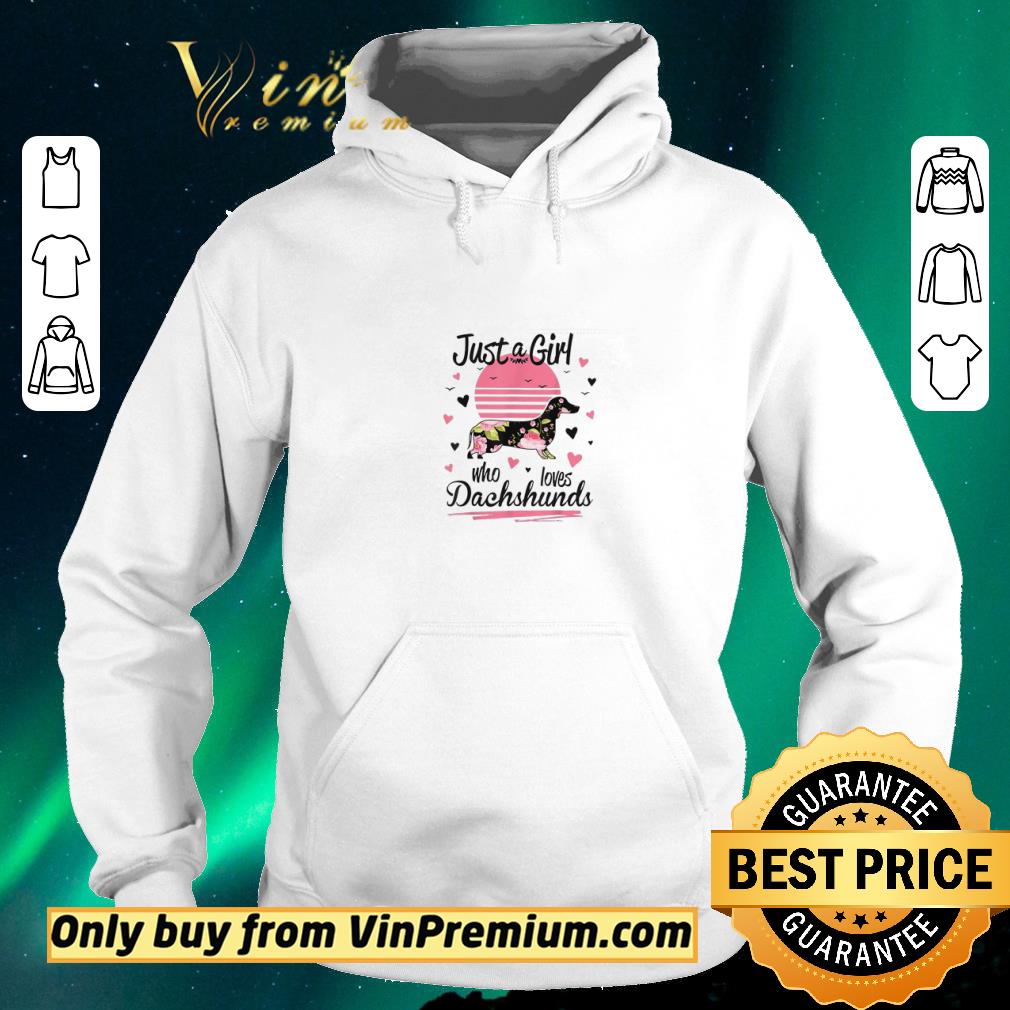 e8868dc0 hot just a girl who loves dachshunds shirt sweater 4 - Hot Just A Girl Who Loves Dachshunds shirt sweater
