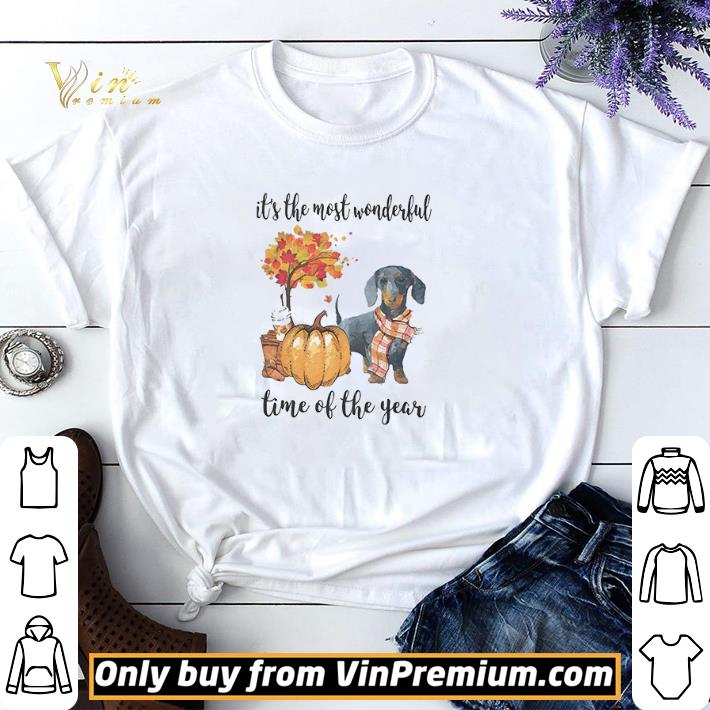 Fall Pumpkin It’s The Most Wonderful Time Of The Year Dachshund shirt sweater