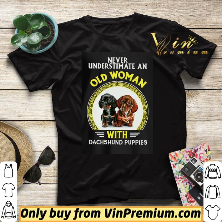 6a057c94 premium never underestimate an old woman with dachshund puppies shirt sweater 4 - Premium Never underestimate an old woman with Dachshund puppies shirt sweater