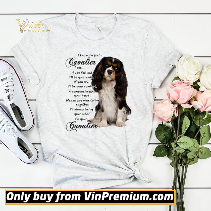 I know i’m just a Cavalier but if you feel sad i’ll be your smile shirt sweater bf5fc622 i know i m just a cavalier but if you feel sad i ll be your smile shirt sweater 4 - I know i’m just a Cavalier but if you feel sad i’ll be your smile shirt sweater