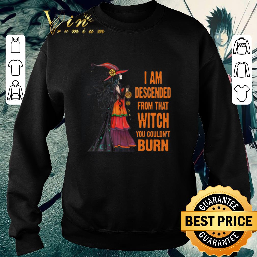 Pretty I am descended from that witch you couldn't burn witch shirt 3f71f127 pretty i am descended from that witch you couldn t burn witch shirt 4 - Pretty I am descended from that witch you couldn't burn witch shirt