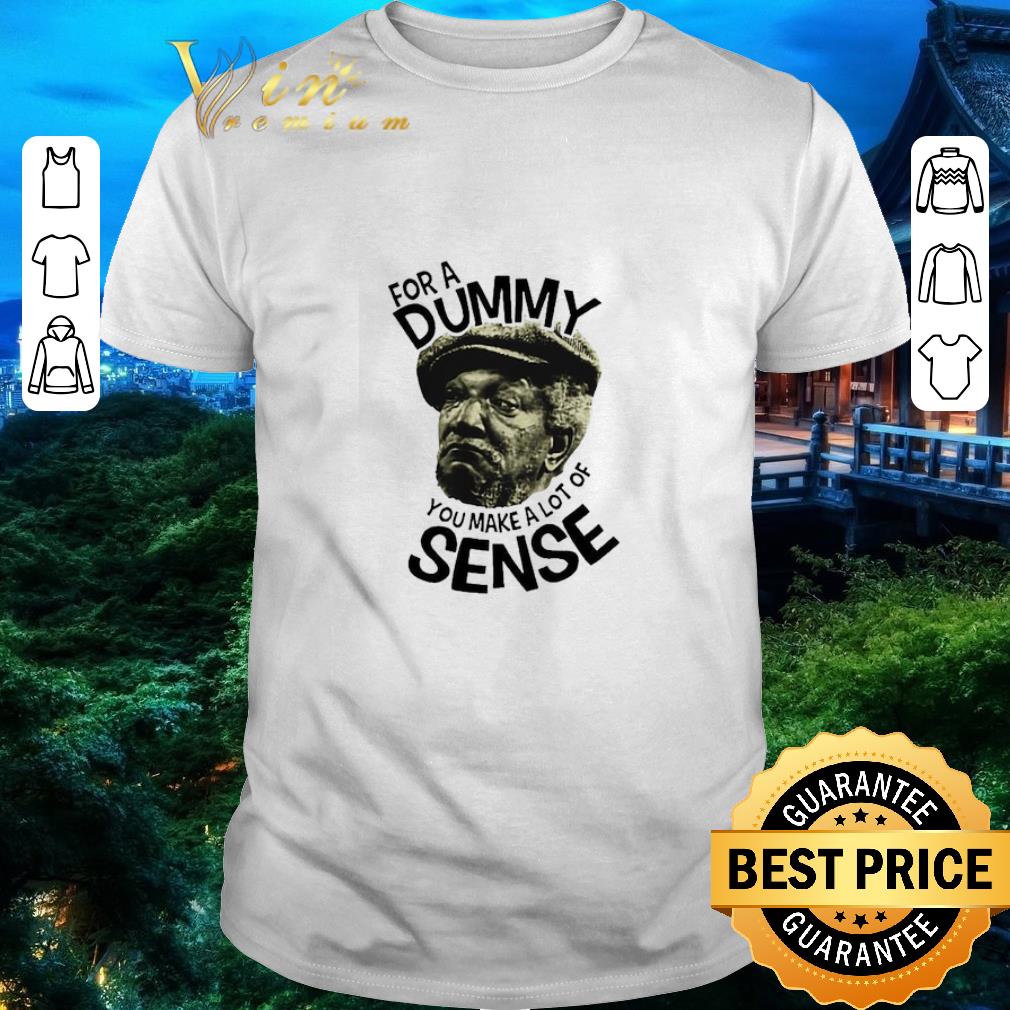 Original For a Dummy You makes a lot of Sense shirt