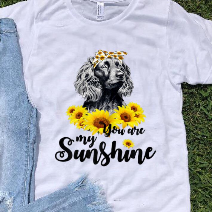 Official Boykin Spaniel You Are My Sunshine Sunflower shirt 1 - Official Boykin Spaniel You Are My Sunshine Sunflower shirt