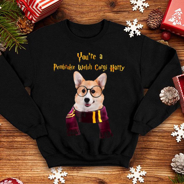 Top Pembroke Welsh Corgi Dog Potter Halloween You re A shirt 4 - Top Pembroke Welsh Corgi Dog Potter Halloween - You're A shirt