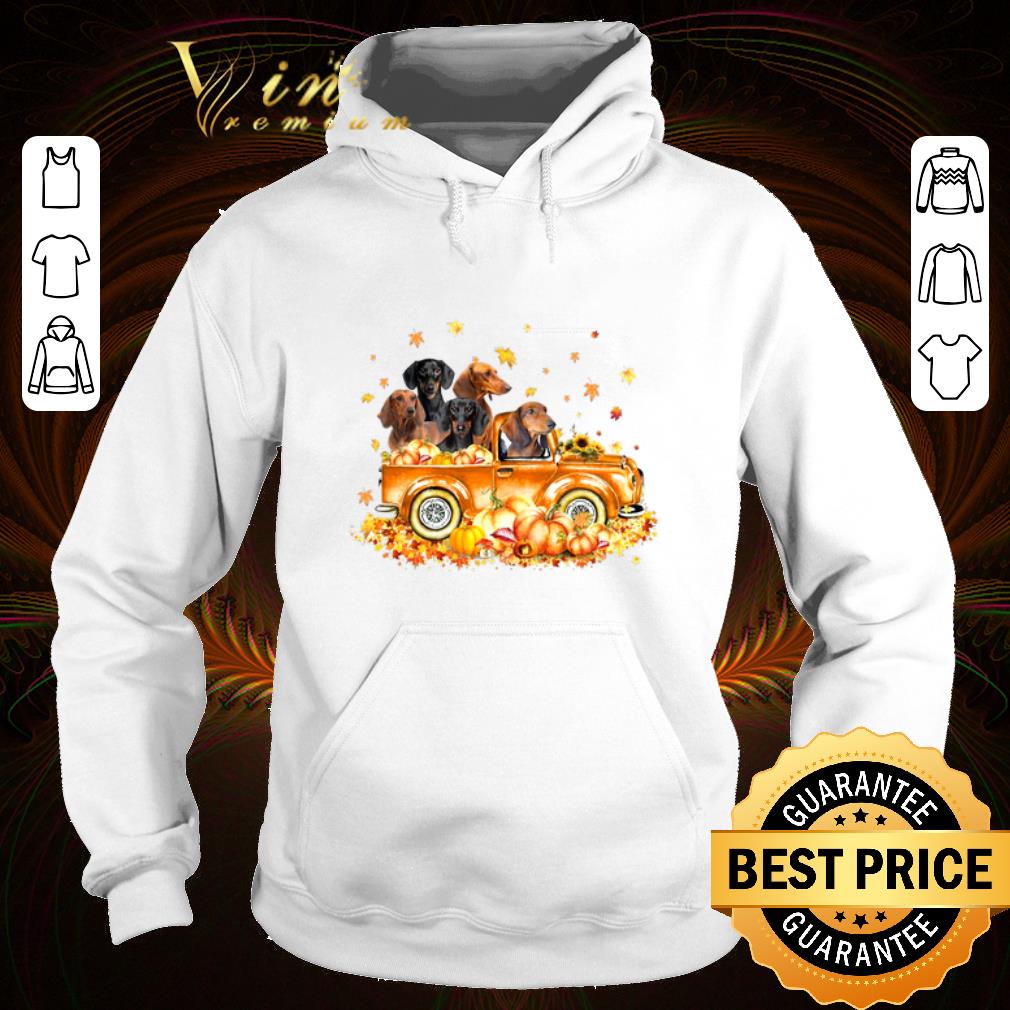 Awesome Original Dachshunds on autumn pumpkin halloween truck shirt 4 - Awesome Original Dachshunds on autumn pumpkin halloween truck shirt